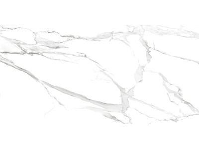 Calacatta Montreal 120x60
