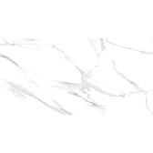 Calacatta Montreal 120x60
