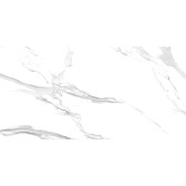 Calacatta Montreal 120x60
