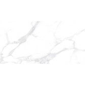 Dallas Silver 120x60

