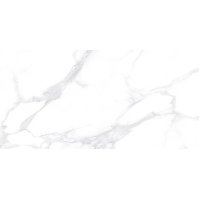 Dallas Silver 120x60

