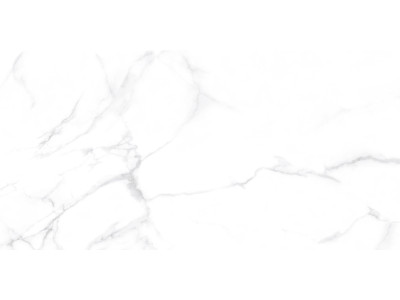 Dallas Silver 120x60
