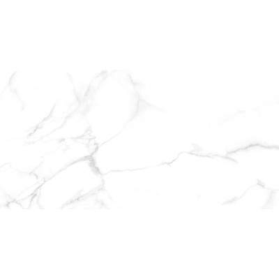 Dallas Silver 120x60
