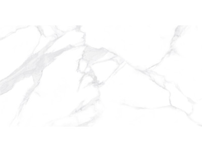 Dallas Silver 120x60
