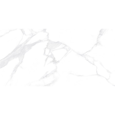 Dallas Silver 120x60
