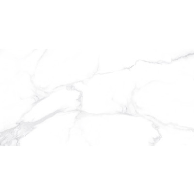 Dallas Silver 120x60
