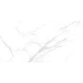 Dallas Silver 120x60
