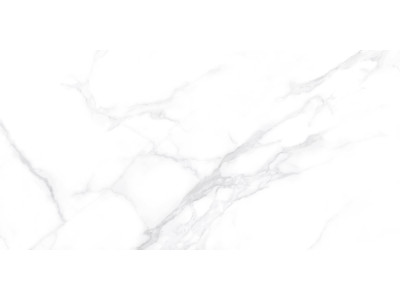 Dallas Silver 120x60
