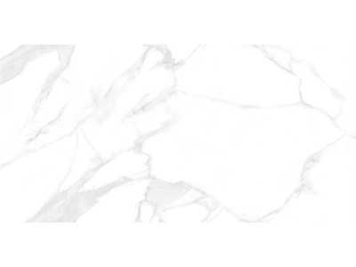 Dallas Silver 120x60
