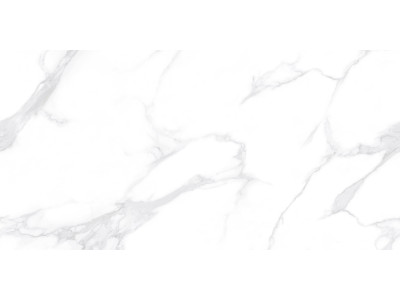 Dallas Silver 120x60
