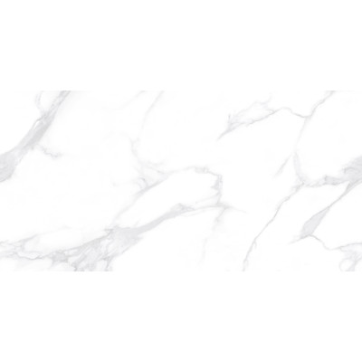Dallas Silver 120x60
