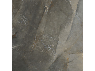 Premiere Stone 60x60