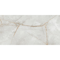 Керамогранит Special Marmo Gray 120x60
