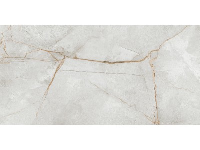 Керамогранит Special Marmo Gray 120x60