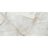 Special Marmo Gray 120x60