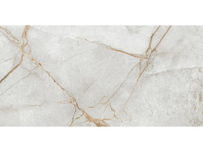Special Marmo Gray 120x60