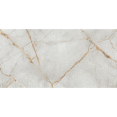 Special Marmo Gray 120x60