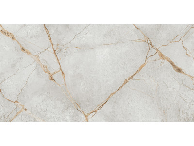 Special Marmo Gray 120x60