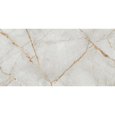 Special Marmo Gray 120x60