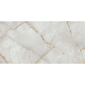 Special Marmo Gray 120x60