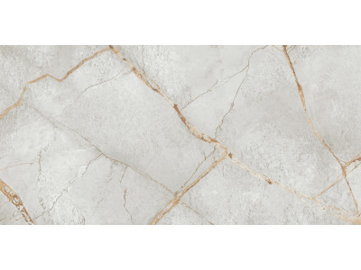 Special Marmo Gray 120x60