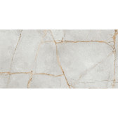 Special Marmo Gray 120x60