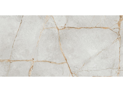 Special Marmo Gray 120x60