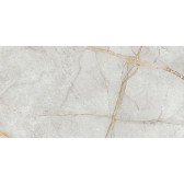 Special Marmo Gray 120x60