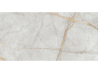 Special Marmo Gray 120x60