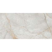 Special Marmo Gray 120x60
