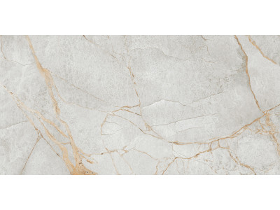 Special Marmo Gray 120x60