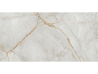 Special Marmo Gray 120x60