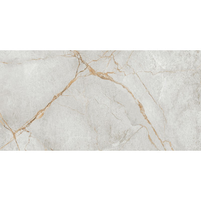 Special Marmo Gray 120x60