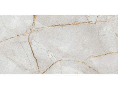 Special Marmo Gray 120x60