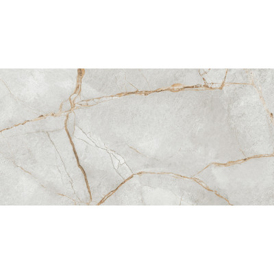 Special Marmo Gray 120x60