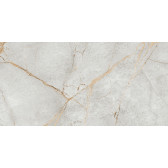 Special Marmo Gray 120x60