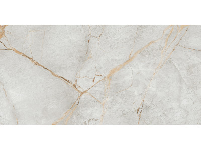 Special Marmo Gray 120x60