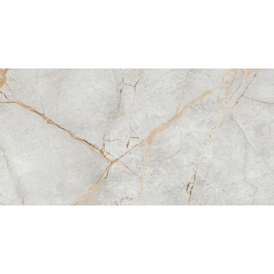Special Marmo Gray 120x60