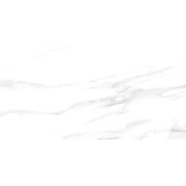 Statuario Silver 120x60
