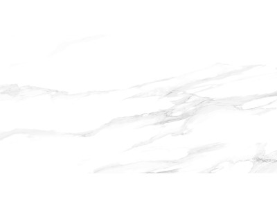 Statuario Silver 120x60
