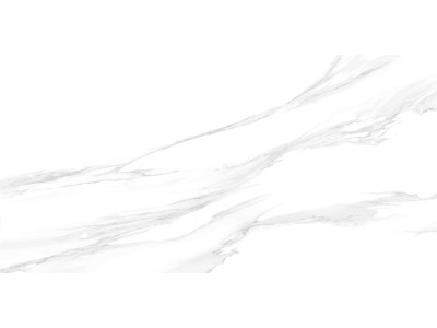 Statuario Silver 120x60
