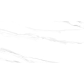 Statuario Silver 120x60
