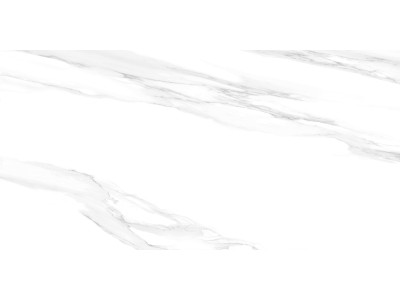 Statuario Silver 120x60
