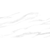 Statuario Silver 120x60
