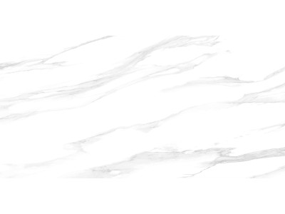 Statuario Silver 120x60
