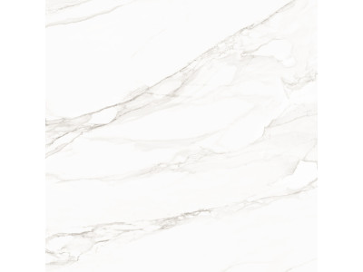 Trend Line Calacatta 80x80