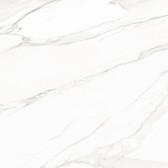Trend Line Calacatta 80x80