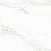 Trend Line Calacatta 80x80