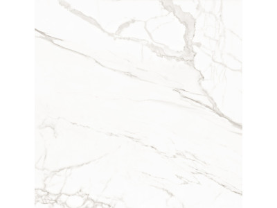 Trend Line Calacatta 80x80