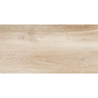 Плитка настенная Artwood 60x30
